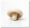 MFR-020 Mushroom